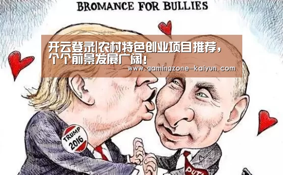 开云入口