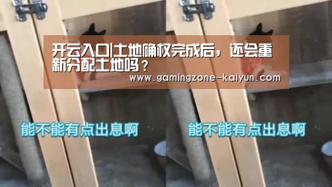 开云入口|土地确权完成后,还会重新分配土地吗?(图2) 开云真人