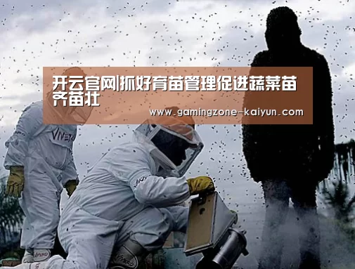 开云真人
