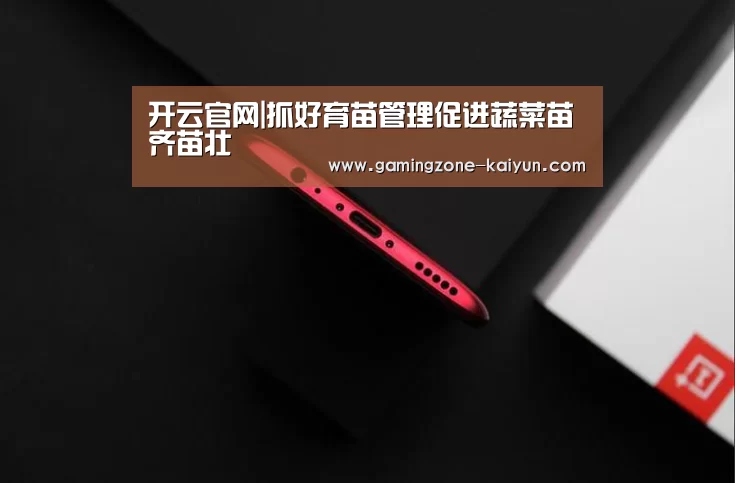 开云真人