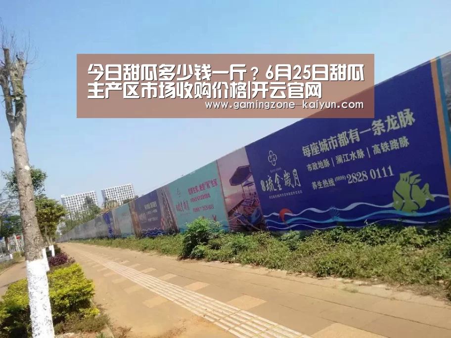 开云官网