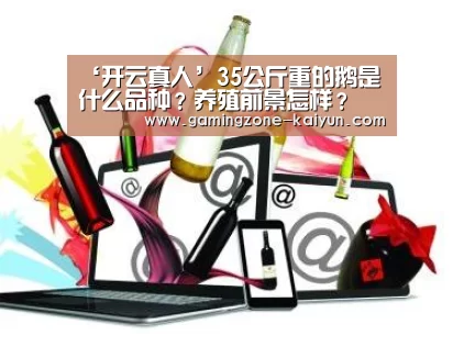 ‘开云真人’35公斤重的鹅是什么品种?养殖前景怎样?(图4) 开云真人