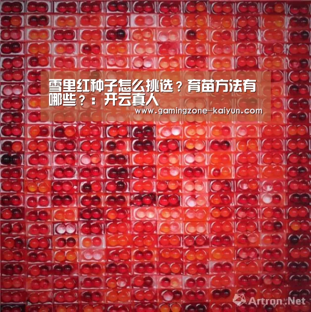 雪里红种子怎么挑选?育苗方法有哪些?:开云真人(图1) 开云入口