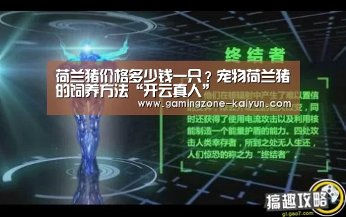 开云入口