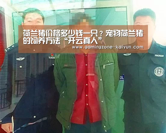 开云真人