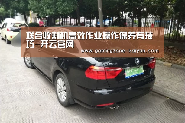 开云入口